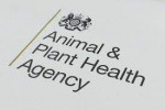 Animal and Plant Health Agency